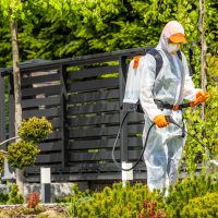 ana menü Görseli 3