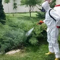 ana menü Görseli 3