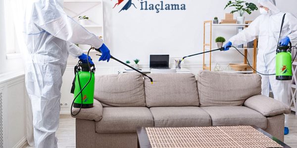 hasere-bocek-ilaclama-1024x856