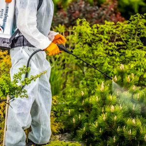 ilaclama-tuzla-bahce-ilaclama