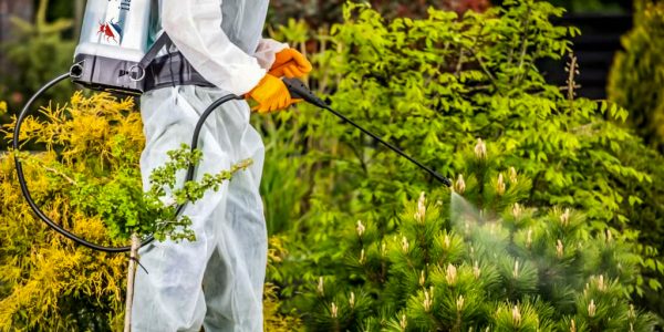 ilaclama-tuzla-bahce-ilaclama